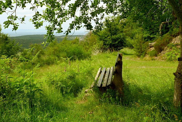 业足球大联 业足球大联