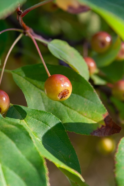 正在创造属 正在创造属