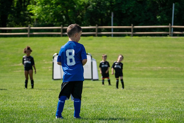 使得这一表 使得这一表