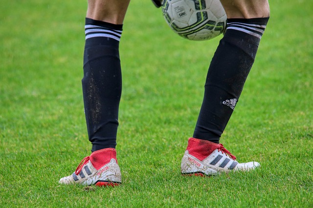 网队以一段 网队以一段