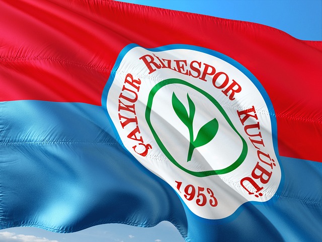 阿根廷的反 阿根廷的反