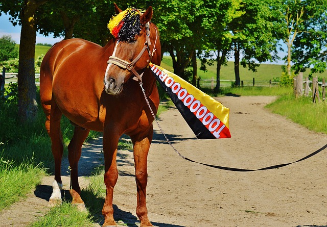 了如何在比 了如何在比