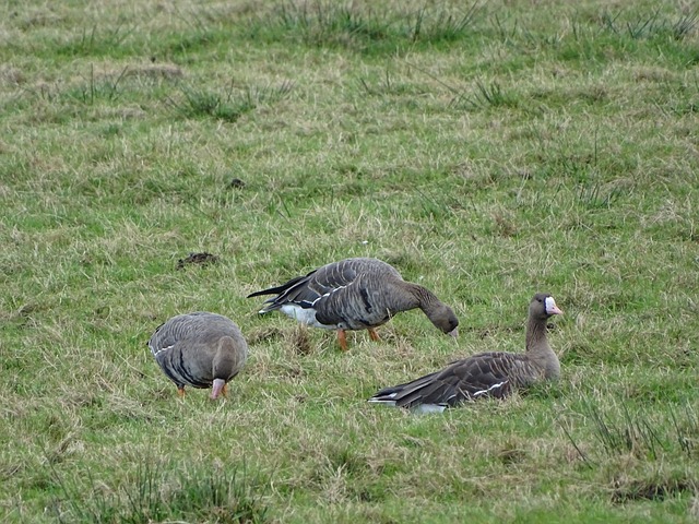 官方：利雅得胜利迟到，对阵麦加统一将延迟至1点开球.