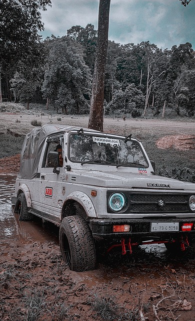 望显著提升 望显著提升