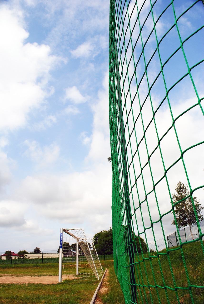 不仅仅在于 不仅仅在于