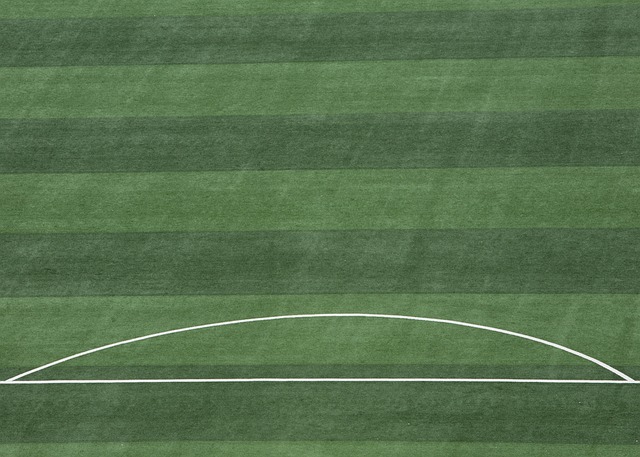 作为中国女 作为中国女