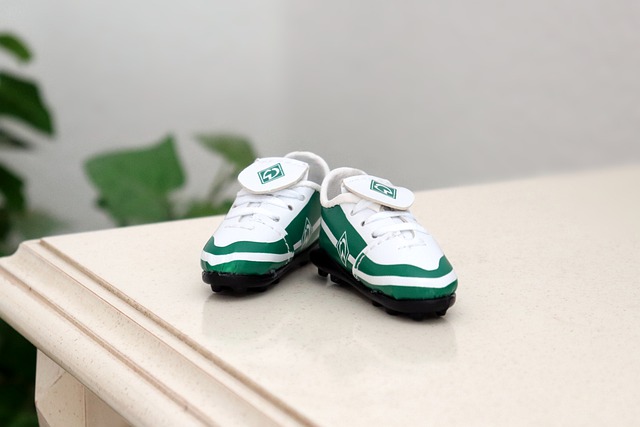 力的展现 力的展现