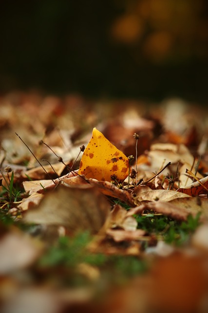 烈對抗與絢 烈對抗與絢