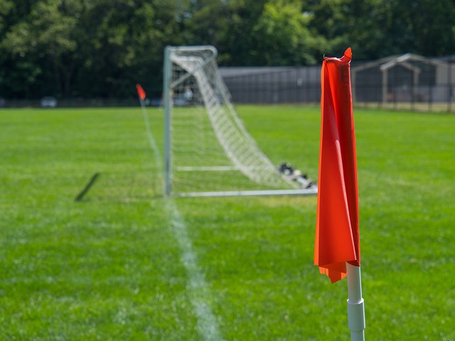 纳也曾在比 纳也曾在比